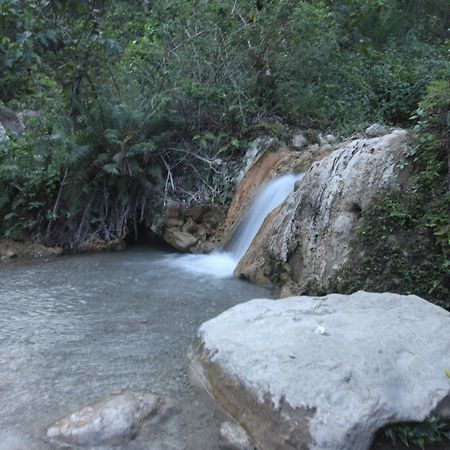 Perfect Stayz Premium Forest Valley Near Waterfall ริชิเคช ภายนอก รูปภาพ