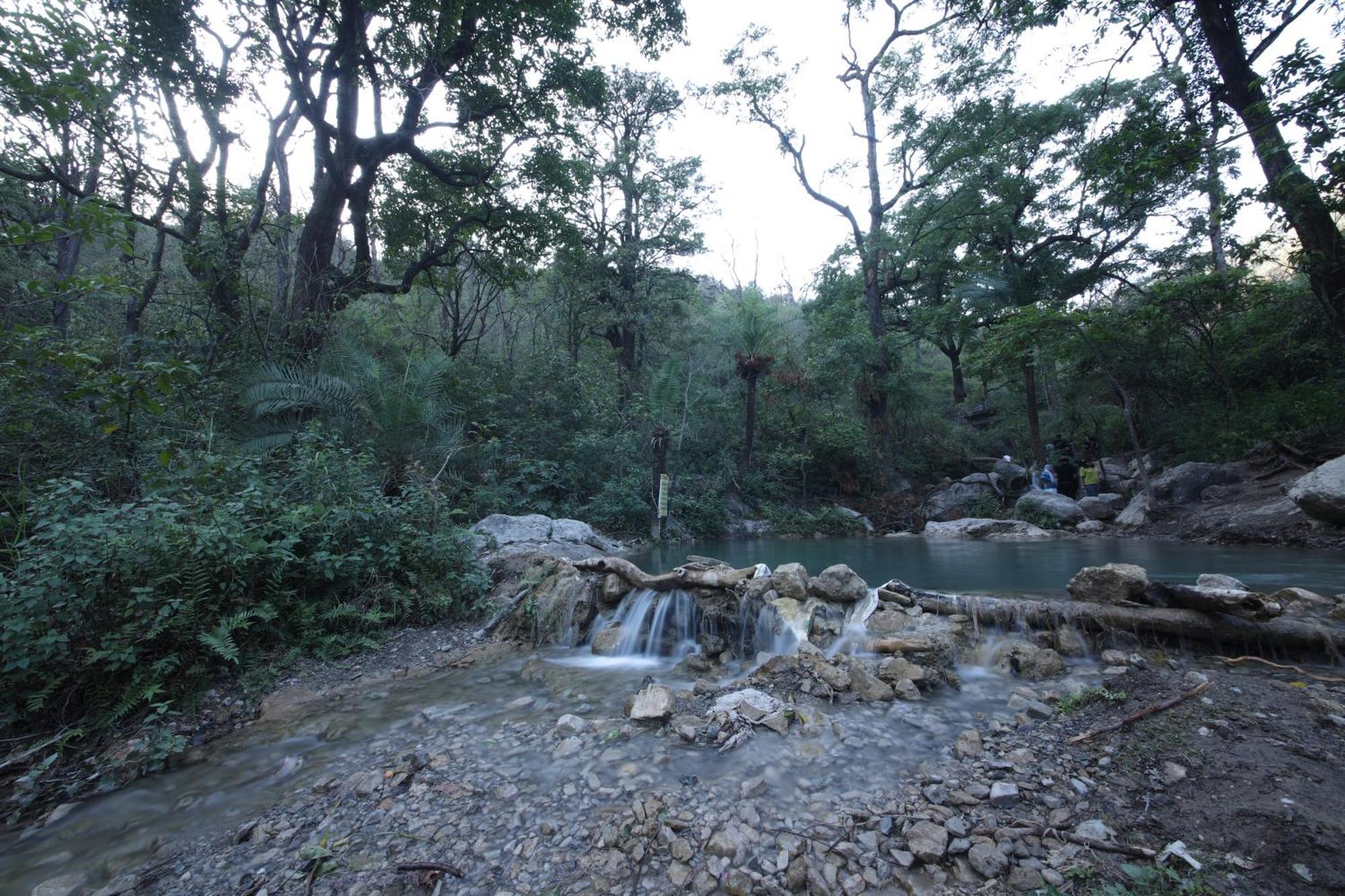 Perfect Stayz Premium Forest Valley Near Waterfall ริชิเคช ภายนอก รูปภาพ